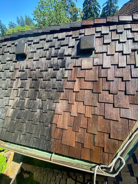How long does roof moss treatment last in the portland metro climate