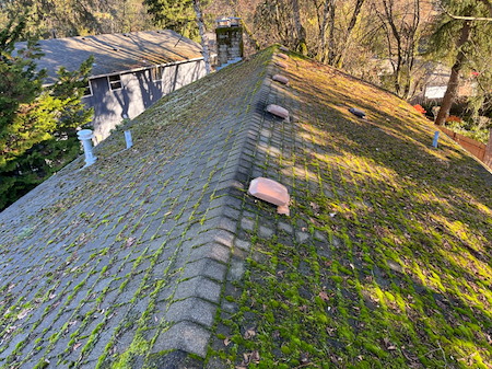 Soft wash roof cleaning in oregon what removes moss without damaging shingles